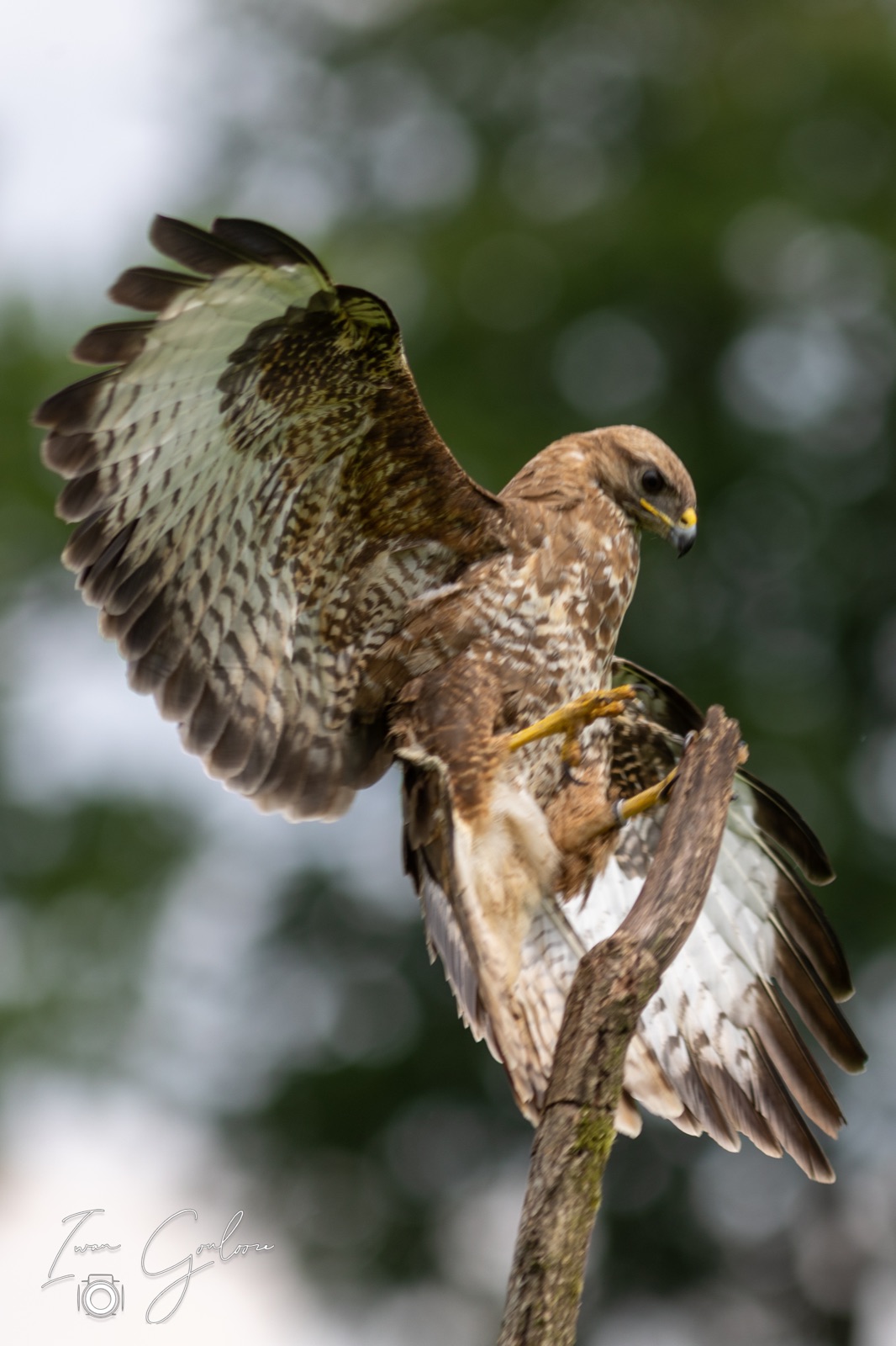 25 juni 2022 145932 1R2A0650